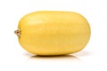 Cucurbita pepo vegetable Royalty Free Stock Photo