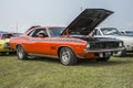 Cuda Royalty Free Stock Photo