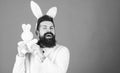 Cuddly bunny. Symbolizing spring, new life and fertility. Bearded man in easter rabbit costume holding hare toy. Happy Royalty Free Stock Photo