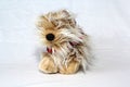 Cuddly stuffed puppy dog on a white neutral background Royalty Free Stock Photo