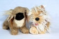 Cuddly stuffed puppy dog on a white neutral background Royalty Free Stock Photo