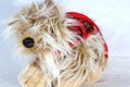 Cuddly stuffed puppy dog on a white neutral background Royalty Free Stock Photo