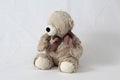 Cuddly stuffed teddy bear on a white neutral background