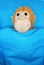 Cuddly toy monkey for children in bed under a blue duvet with white dots as motif for congratulations card