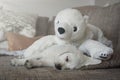 Cuddly toy polar bear and white labrador dog puppy