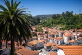 Cudillero fishing village and palm tree, Asturias, Spain