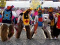 Dancers dressed as characters of Inti Raymi, Ecuador