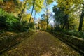 Cuesta de Gomerez in autumn this road takes you to the Alhambra complex