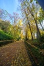 Cuesta de Gomerez in autumn this road takes you to the Alhambra complex