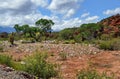 Cuesta de Miranda. La Rioja. North Argentina