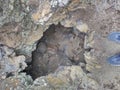 Cueva de Reserva Natural