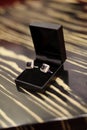 Cuff Links in Box Royalty Free Stock Photo