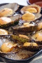 Cuisine of the Azores. The mollusks of Lapas, Limpets are popular as a snack in the Azores. Royalty Free Stock Photo