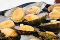 Cuisine of the Azores. The mollusks of Lapas, Limpets are popular as a snack in the Azores. Royalty Free Stock Photo