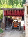 Cukuroren, Bilecik / Turkey -September 08 2019: Drying long red pepper with hanging in shadow and there is a tractor under the