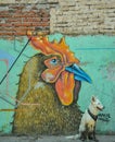 07/07/2018, Culiacan, Sinaloa, Mexico: A dog with a bandana sits in front of a rooster.