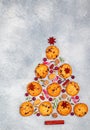 Culinary background of cookies with cranberries Royalty Free Stock Photo