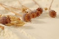 Culinary background: dry branches of cereals, poppy heads on scattered flour close-up, side view, space for text Royalty Free Stock Photo