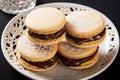 Culinary delight Alfajores cookies exemplify the concept of irresistible, mouthwatering sweetness