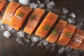 Culinary elegance Portioned salmon fillets on ice with an empty board