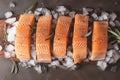 Culinary elegance Portioned salmon fillets on ice with an empty board