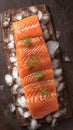 Culinary elegance Portioned salmon fillets on ice with an empty board