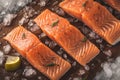 Culinary elegance Salmon fillets portioned on ice, clean kitchen board