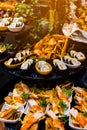 Culinary event. Food background, close-up. Catering buffet food in hotel restaurant. Fresh, celebration. Royalty Free Stock Photo