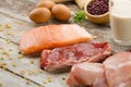 Rich Nutrient food of fish, meat, eggs and milk Royalty Free Stock Photo