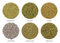 Culinary herbs for Herbes de Provence, herbal circles