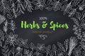 Culinary herbs and spice template