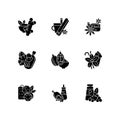 Culinary herbs and spices black glyph icons set on white space