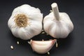 Culinary necessity White garlic showcased on a black backdrop