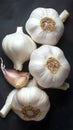 Culinary necessity White garlic showcased on a black backdrop