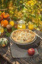 Culinary pastries, open pie with vegetables or fruits with pumpkins