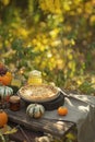 Culinary pastries, open pie with vegetables or fruits with pumpkins