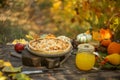 Culinary pastries, open pie with vegetables or fruits with pumpkins