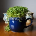 Culinary prep Dark blue cup holds home bred green cress