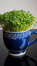 Culinary prep Dark blue cup holds home bred green cress