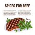 Culinary spice for beef basil culinary herb spices
