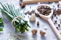 Culinary still life of assorted spices on white textured background, flat lay, close-up, selective focus. Royalty Free Stock Photo