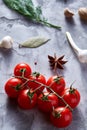 Culinary still life of assorted spices on white textured background, flat lay, close-up, selective focus. Royalty Free Stock Photo