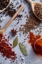 Culinary still life of assorted spices on white textured background, flat lay, close-up, selective focus. Royalty Free Stock Photo