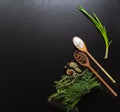 Culinary still life with herbs and spices on black