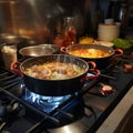 Culinary symphony Pots simmer with cooking food on a gas stove