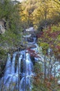 Cullasaja Falls Through Autumn Leaves