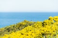 Cullen coastside views in a clear day Royalty Free Stock Photo