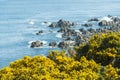 Cullen coastside views in a clear day Royalty Free Stock Photo