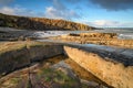 Cullernose Point at Howick Coastline