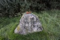 Culloden Battlefield headstone for mixed clans